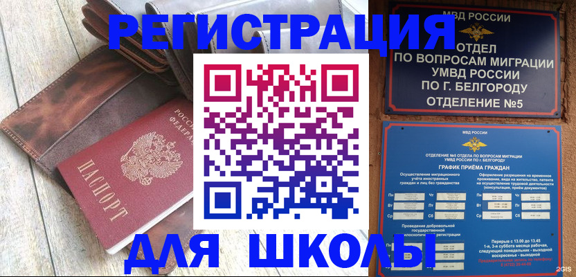 прописка иностранных граждан в Железногорске